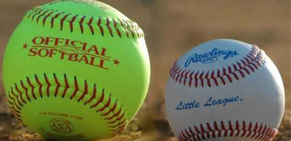 9 Divisions of Baseball and Softball